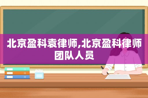 北京盈科袁律師,北京盈科律師團隊人員