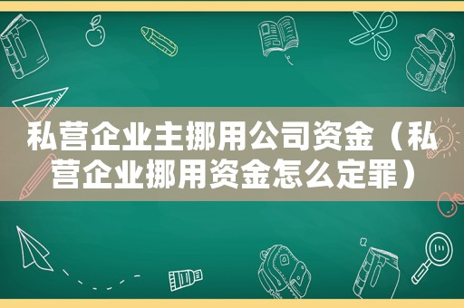 私營企業(yè)主挪用公司資金（私營企業(yè)挪用資金怎么定罪）