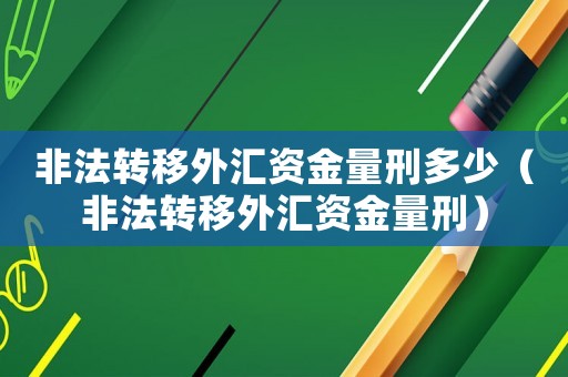 非法轉移外匯資金量刑多少（非法轉移外匯資金量刑）