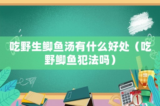 吃野生鯽魚湯有什么好處（吃野鯽魚犯法嗎）