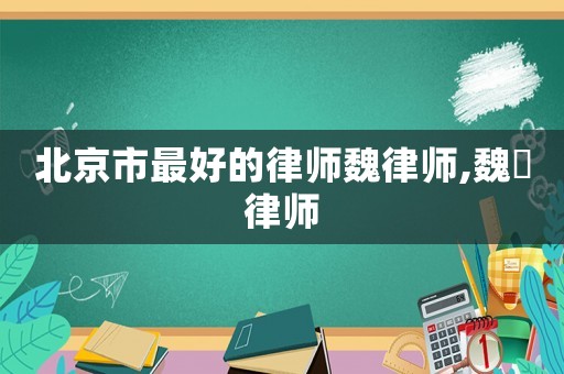 北京市最好的律師魏律師,魏皛律師