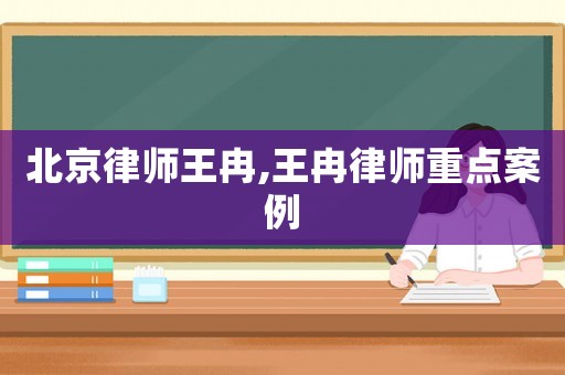 北京律師王冉,王冉律師重點案例