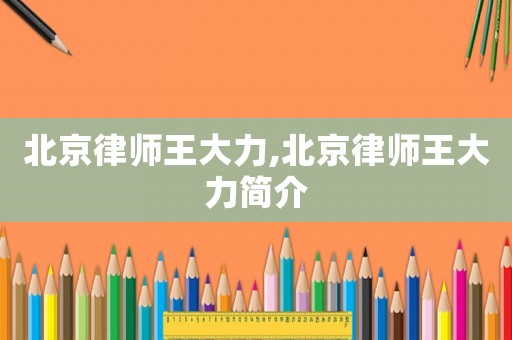 北京律師王大力,北京律師王大力簡介
