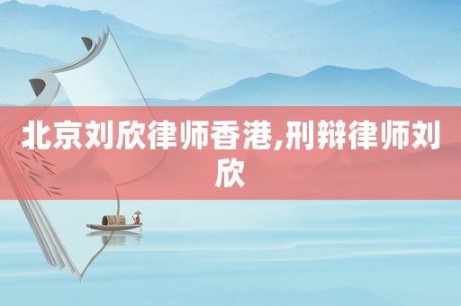 北京劉欣律師香港,刑辯律師劉欣