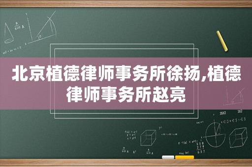 北京植德律師事務所徐揚,植德律師事務所趙亮
