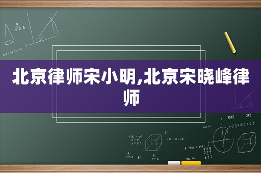 北京律師宋小明,北京宋曉峰律師