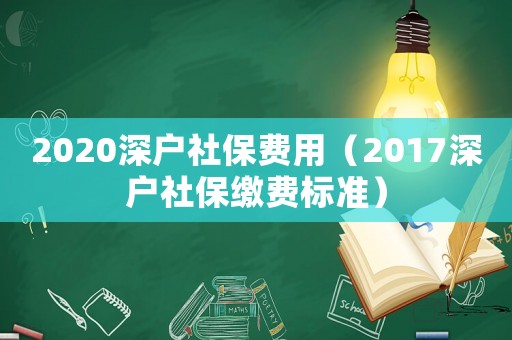 2020深戶社保費用（2017深戶社保繳費標準）