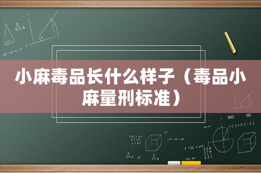 小麻毒品長什么樣子（毒品小麻量刑標準）