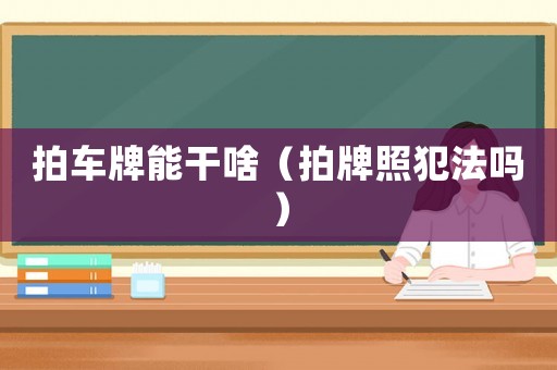 拍車牌能干啥（拍牌照犯法嗎）
