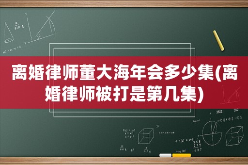 離婚律師董大海年會(huì)多少集(離婚律師被打是第幾集)