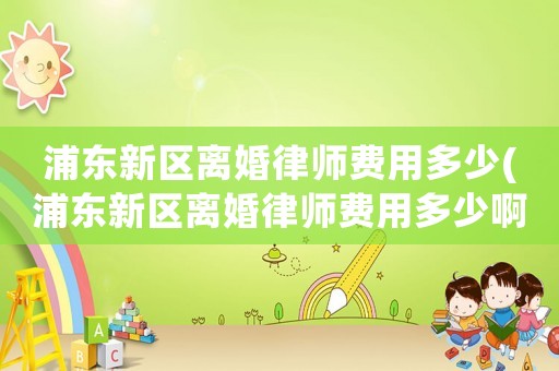 浦東新區(qū)離婚律師費用多少(浦東新區(qū)離婚律師費用多少啊)