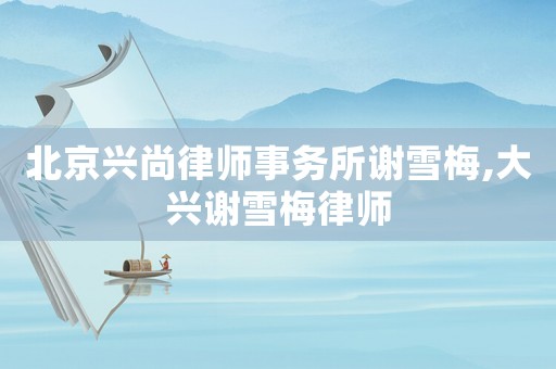 北京興尚律師事務(wù)所謝雪梅,大興謝雪梅律師