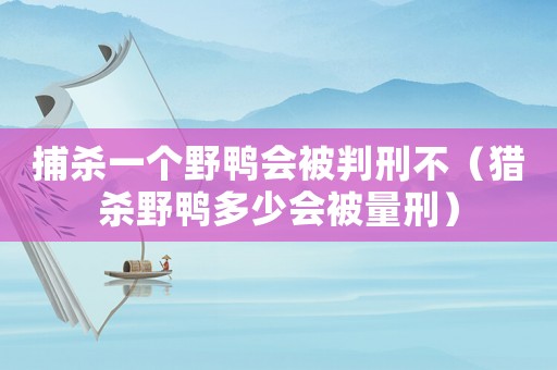 捕殺一個(gè)野鴨會(huì)被判刑不（獵殺野鴨多少會(huì)被量刑）
