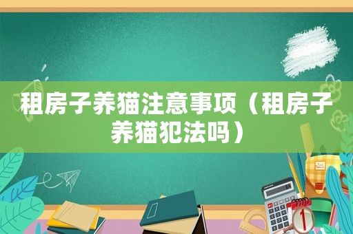 租房子養(yǎng)貓注意事項(xiàng)（租房子養(yǎng)貓犯法嗎）