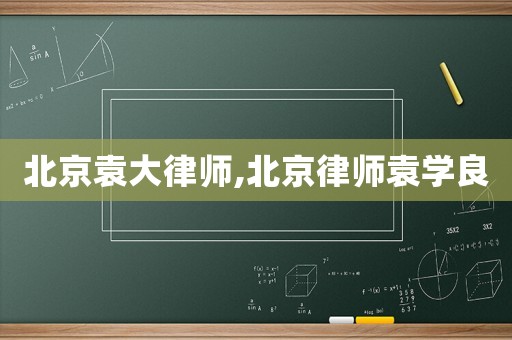 北京袁大律師,北京律師袁學(xué)良