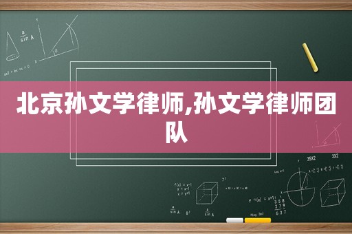 北京孫文學律師,孫文學律師團隊