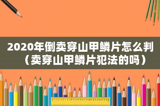 2020年倒賣穿山甲鱗片怎么判（賣穿山甲鱗片犯法的嗎）
