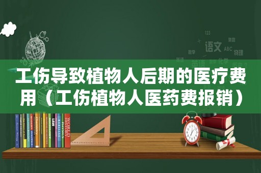 工傷導致植物人后期的醫療費用（工傷植物人醫藥費報銷）