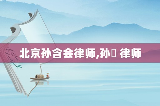 北京孫含會律師,孫劼 律師