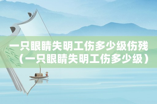 一只眼睛失明工傷多少級傷殘（一只眼睛失明工傷多少級）