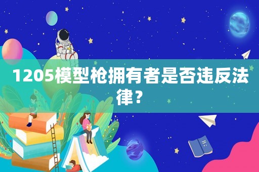 1205模型槍擁有者是否違反法律？
