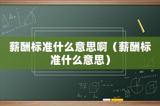 薪酬標準什么意思啊（薪酬標準什么意思）