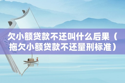 欠小額貸款不還叫什么后果（拖欠小額貸款不還量刑標準）