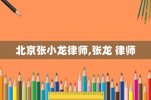 北京張小龍律師,張龍 律師