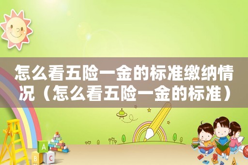 怎么看五險一金的標準繳納情況（怎么看五險一金的標準）
