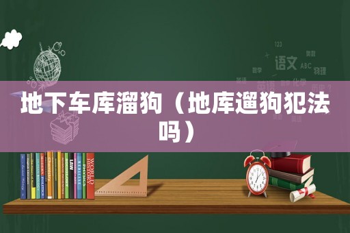 地下車庫溜狗（地庫遛狗犯法嗎）