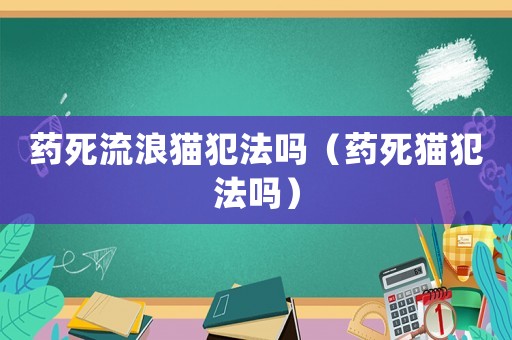 藥死流浪貓犯法嗎（藥死貓犯法嗎）