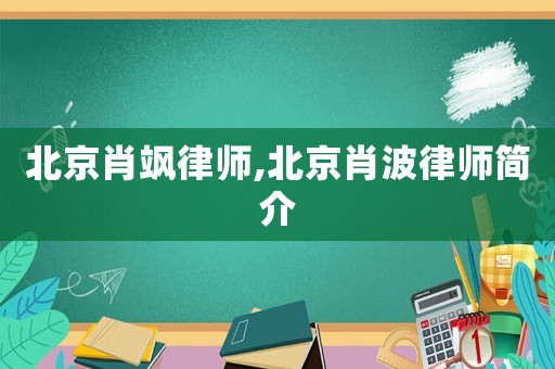 北京肖颯律師,北京肖波律師簡介