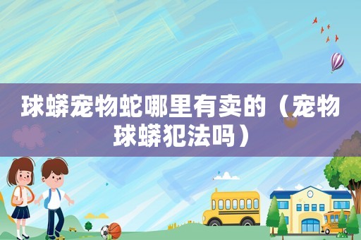 球蟒寵物蛇哪里有賣(mài)的（寵物球蟒犯法嗎）