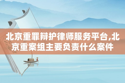 北京重罪辯護律師服務平臺,北京重案組主要負責什么案件