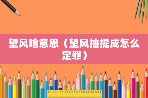 望風啥意思（望風抽提成怎么定罪）