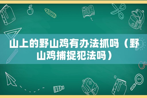 山上的野山雞有辦法抓嗎（野山雞捕捉犯法嗎）