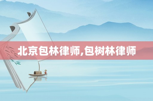 北京包林律師,包樹(shù)林律師