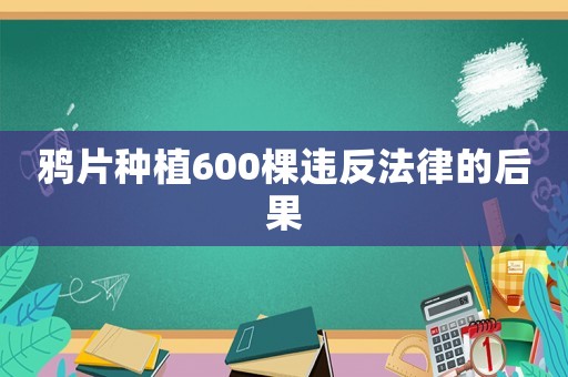鴉片種植600棵違反法律的后果