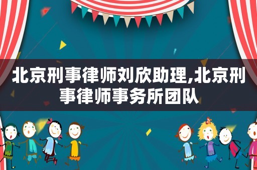 北京刑事律師劉欣助理,北京刑事律師事務(wù)所團(tuán)隊(duì)