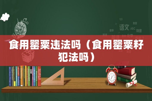 食用罌粟違法嗎（食用罌粟籽犯法嗎）