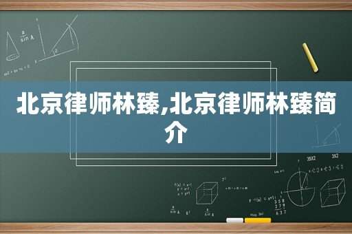 北京律師林臻,北京律師林臻簡介