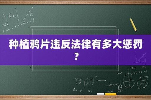 種植鴉片違反法律有多大懲罰？