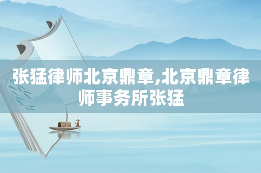張猛律師北京鼎章,北京鼎章律師事務所張猛