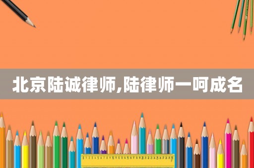 北京陸誠律師,陸律師一呵成名