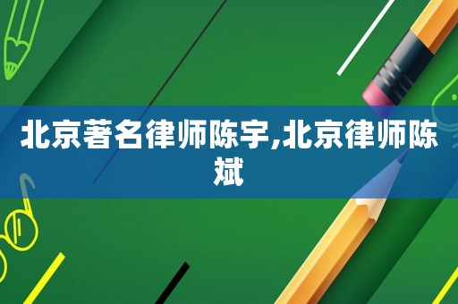 北京著名律師陳宇,北京律師陳斌
