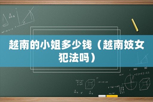 越南的小姐多少錢（越南妓女犯法嗎）