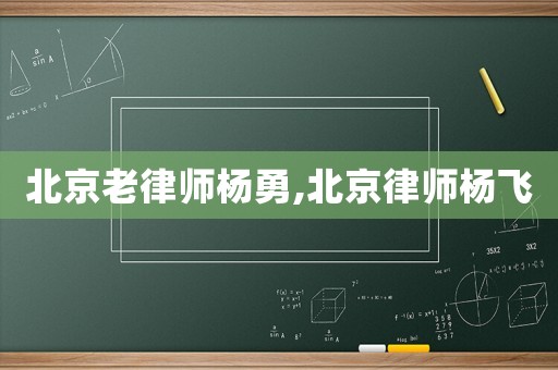 北京老律師楊勇,北京律師楊飛