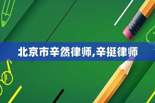 北京市辛然律師,辛挺律師
