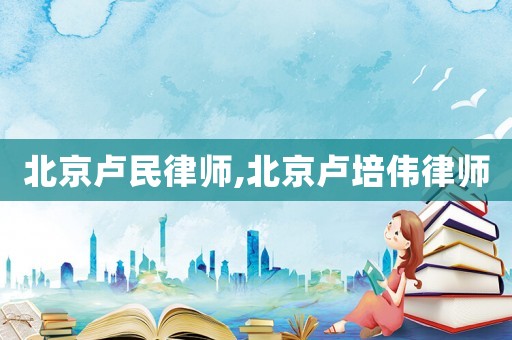 北京盧民律師,北京盧培偉律師