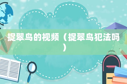 捉翠鳥的視頻（捉翠鳥犯法嗎）